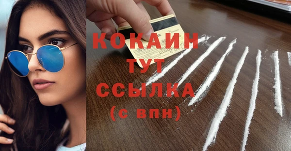 apvp Верея