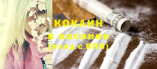 шишки Нефтекумск