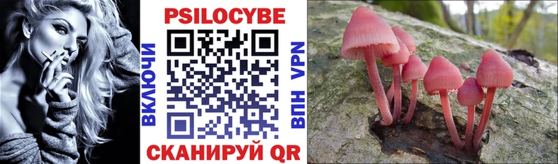 mega вход Куса Галлюциногенные грибы MAGIC MUSHROOMS
